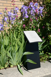 Walk Award plaque, Bellingham, WA